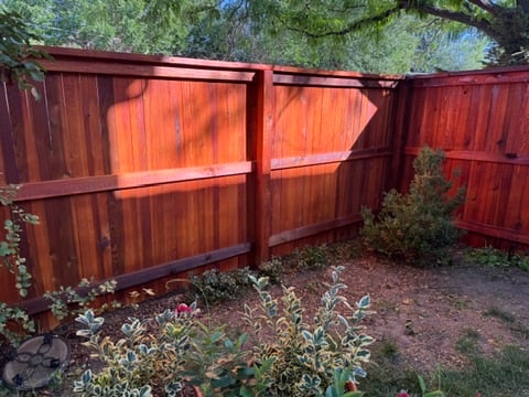 Oil-stained cedar fence boards and top cap
