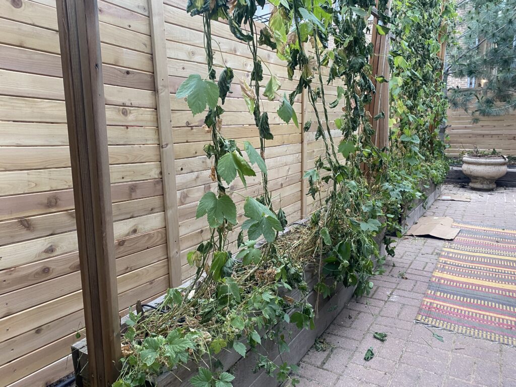HOA guidelines Western Red Cedar privacy fence installed and stained