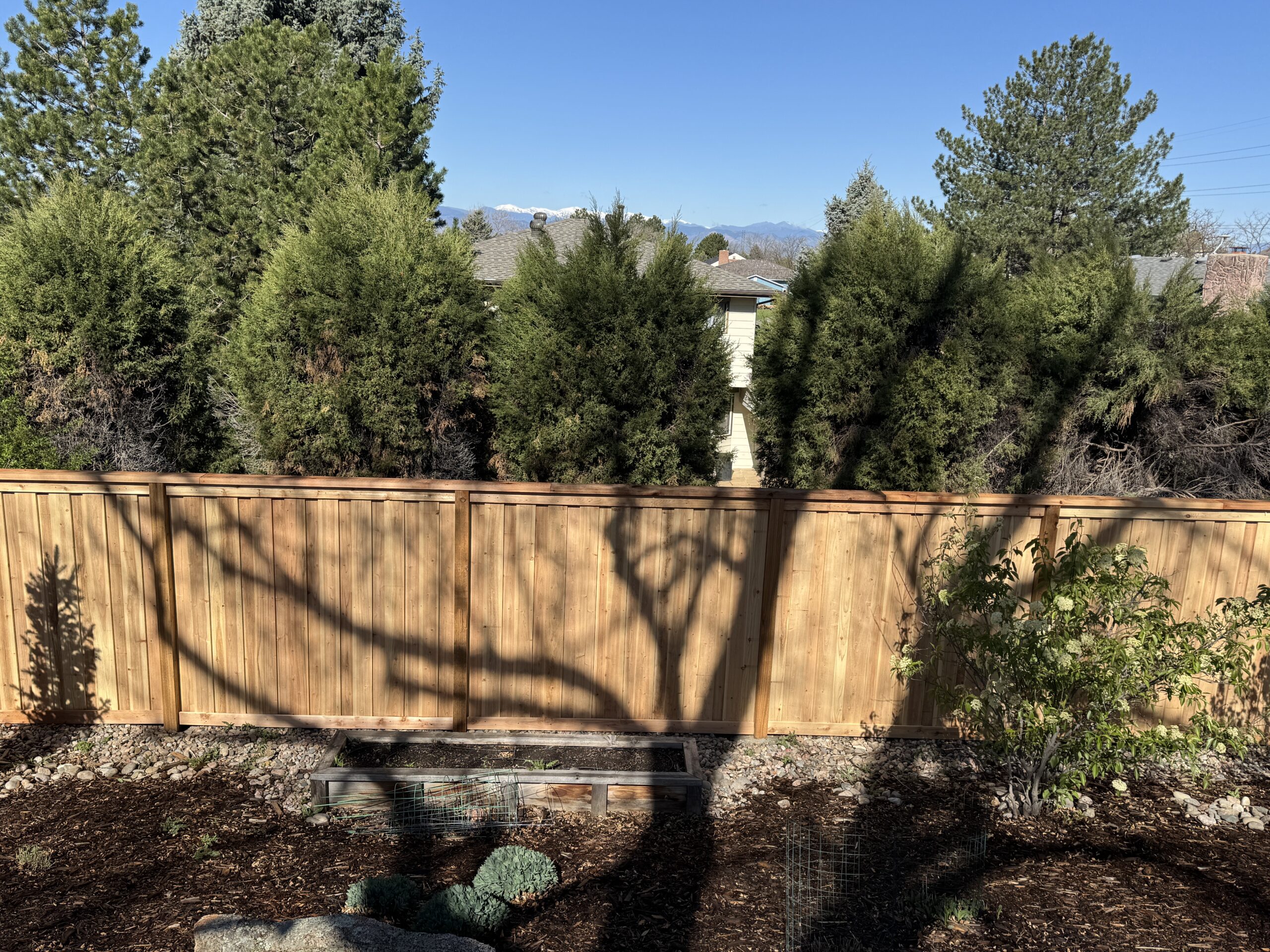 Board on Board Cedar Privacy Fence with top and bottom trim